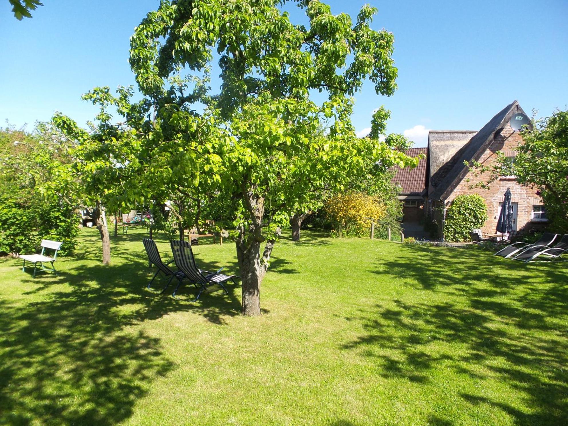 Ferienhaus Fischerhaus Seedorf  Buitenkant foto